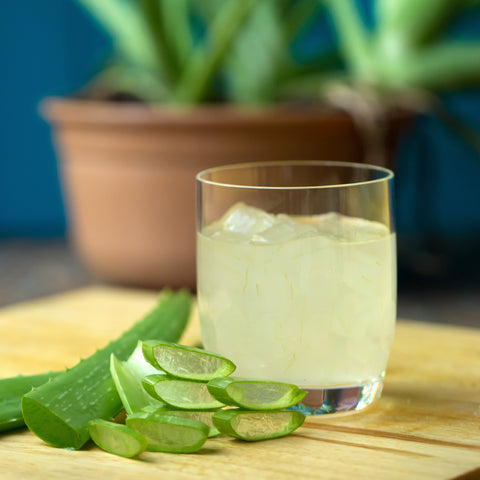 Honey Aloe Vera Canned 3kg